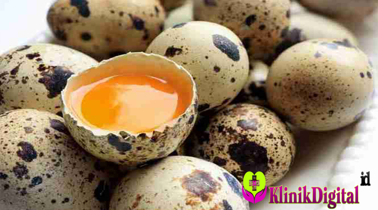 Manfaat Telur Puyuh dan Kandungan Nutrisi yang Jarang Diketahui