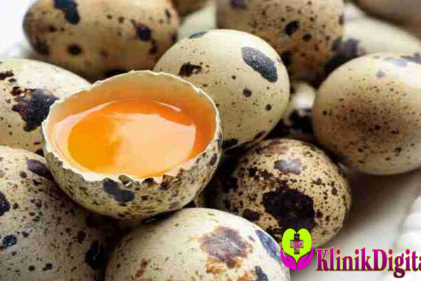 Manfaat Telur Puyuh dan Kandungan Nutrisi yang Jarang Diketahui